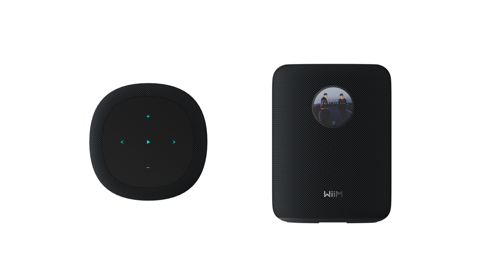 WiiM Sound schwarz Smart Speaker 