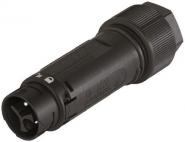 Wieland              RST16I3 S S1 ZT3 SW 