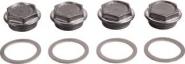 Bosch Thermotechnik    Plug G1 1/2 (4PC) 