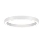 Brumberg LED-Anbau-Ringl.       13565173 