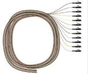EasyLan 1x12 Pigtailsatz    LVCFP12LCOM4 