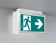 RP RZ-Leuchte Decke, ZBA, inkl.   LMD019 