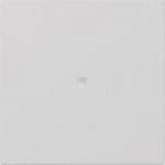 GIRA 3490015 Wippe gerade Kontroll- 