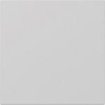 GIRA 3496015 Wippe gerade System 55 