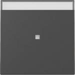 GIRA 3670005 Wippe Kontrollfenster+BSF 