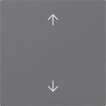 GIRA 361628 Wippe Pfeile System 55 