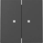GIRA 3631005 Wippe 2fach Kontrollfenster 