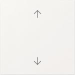 GIRA 361603 Wippe Pfeile System 55 