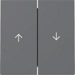GIRA 329428 Wippe 2fach Pfeil System 55 