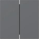 GIRA 349528 Wippe 2fach gerade System 55 