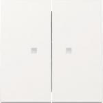 GIRA 363103 Wippe 2fach Kontrollfenster 