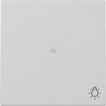 GIRA 3674015 Wippe Kontrollfenster+Symb. 