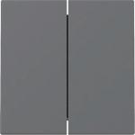 GIRA 329528 Wippe 2fach System 55 