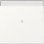 GIRA 367027 Wippe Kontrollfenster+BSF 