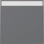 GIRA 329928 Wippe Beschriftungsfeld 