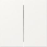 GIRA 349527 Wippe 2fach gerade System 55 