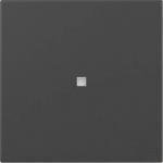 GIRA 3490005 Wippe gerade Kontroll- 