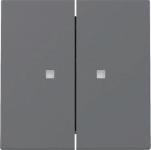 GIRA 363128 Wippe 2fach Kontrollfenster 