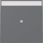 GIRA 367028 Wippe Kontrollfenster+BSF 