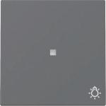 GIRA 367428 Wippe Kontrollfenster+Symbol 