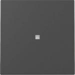GIRA 3290005 Wippe Kontrollfenster 