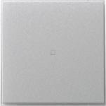 GIRA 349065 Wippe gerade Kontrollfenster 