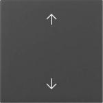 GIRA 3616005 Wippe Pfeile System 55 