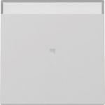GIRA 3670015 Wippe Kontrollfenster+BSF 