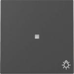 GIRA 3674005 Wippe Kontrollfenster+Symb. 