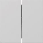 GIRA 3495015 Wippe 2fach gerade 