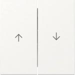 GIRA 329427 Wippe 2fach Pfeil System 55 