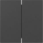 GIRA 3495005 Wippe 2fach gerade 