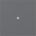 GIRA 349028 Wippe gerade Kontrollfenster 