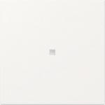 GIRA 349027 Wippe gerade Kontrollfenster 