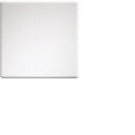 Eltako Wippe f.Funktaster u. W-F2T55E-pg 