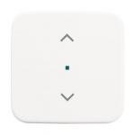 BJ Wippe 1-fach Symbol       6232-10-214 