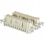 Wieland Buchseneinsatz BAS BUS 48 2,5 50 