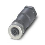 Phoenix        SACC-M12FSS-3PECON-PG11-M 