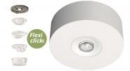 RP-Technik SI-Leuchte          EARL529CC 