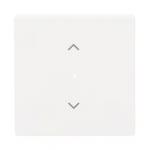 BJ Wippe 1f Jalousie matt    6232-10-884 