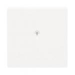 BJ Wippe 1-fach Symbol Licht  6231-10-84 