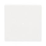 BJ Wippe 1-fach               6230-10-84 