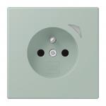 Jung JUNG HOME        BT LC 1521 F S 217 