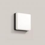 BEGA Wandleuchte Grafit   3000 K 24892K3 