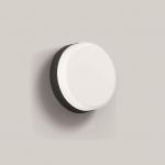 BEGA BEGA 24895K3 Wandleuchte    24895K3 