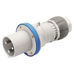GEWISS Stecker HP IP44 2P+PE    GW61016H 