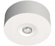 RP-Technik SI-Leuchte          EARL423WL 