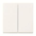 BJ FoH-Bedienelement 2fach  6736 FoH-914 