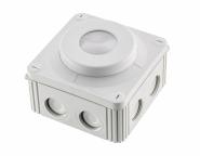 Pracht XLS CCS HRO -Tageslicht-  9800005 
