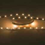 Nobile Flexible LED SMD 3528  5012200512 